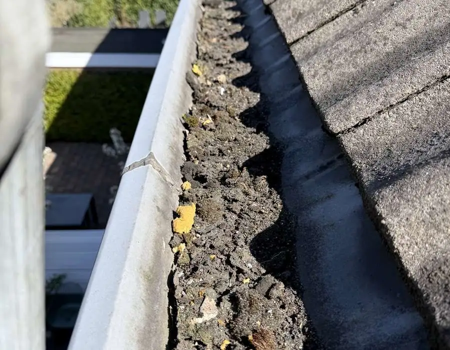 Dakgoot vol met blad en vuil, klaar om leeggehaald te worden
